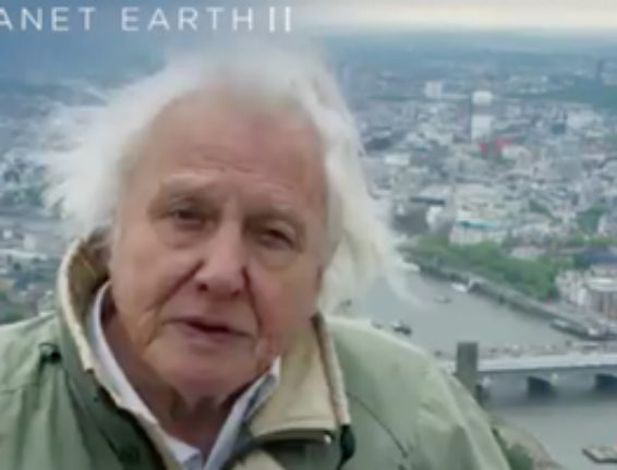 Sir David Attenborough signs off atop of The Shard